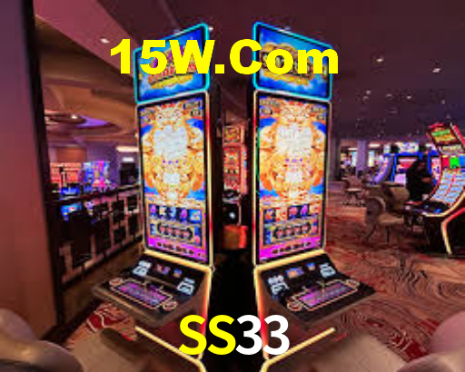 SS33